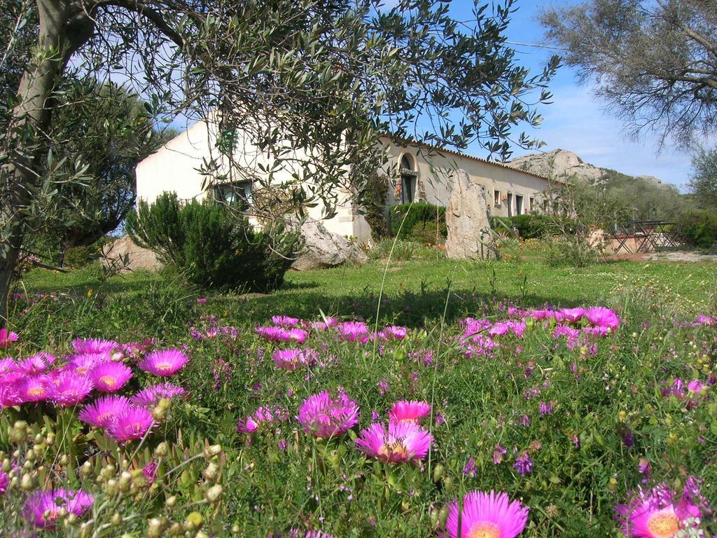 B&B La MeSenda Arzachena Bagian luar foto